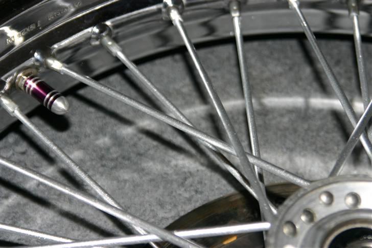 LS650 - Splendid ! billede 148