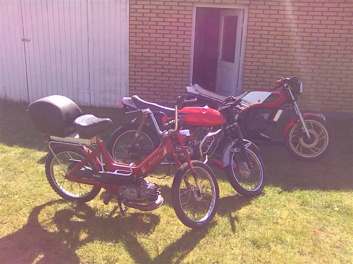 Puch Monza - Min trofaste puch maxi gennem 15 år
monzaen og offer maskinen: En yamaha RD 125, den kørte egentligt godt, men når der skal laves monza, så skal der laves monza :-) billede 4