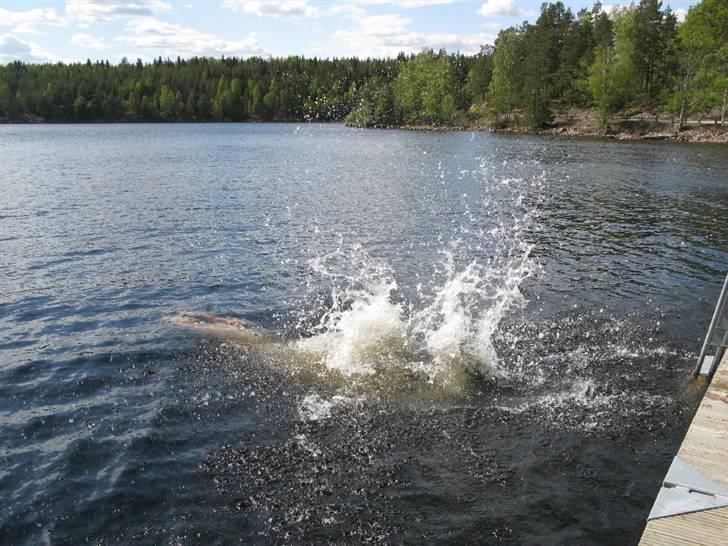 Norge Klanen indtager Polarcirklen - Når man ikke er blevet vasket hjemmefra, så må man en tur i BALJEN. 
Nej, vores Vandhund springer i, uanset hvor koldt det er!!!!!! billede 7