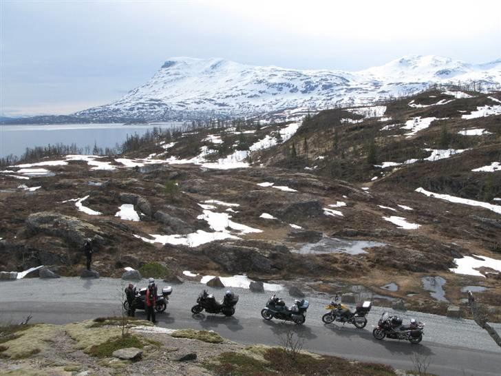 Norge Klanen indtager Polarcirklen - Ja, ikke sandt? Her er flot! billede 20