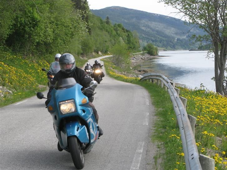 Norge Klanen indtager Polarcirklen - Hallo hvor det går. Når fjorden graver sig ind i landet, laver man en vej langs bredden. Ikke noget med broer, hvis det kan undgås, syns det som om...... billede 29