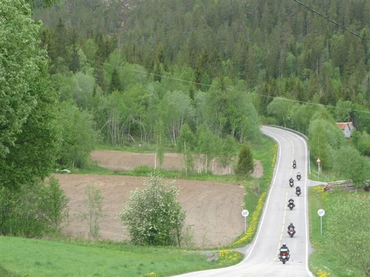 Norge Klanen indtager Polarcirklen - Tja, hva ska jeg si'? Boller fra Koberg eller kopiere billedteksten fra ovenstående foto? billede 31