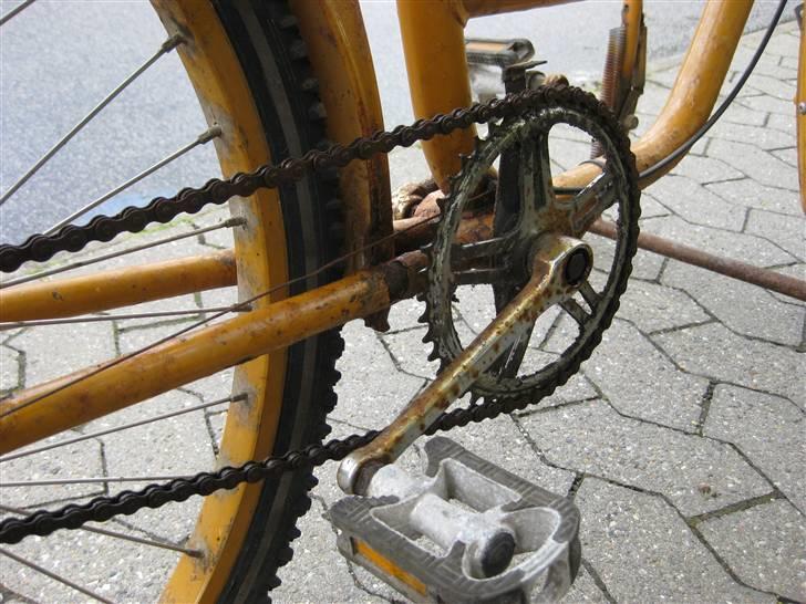 Budcykel billede 3