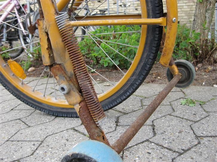 Budcykel billede 4