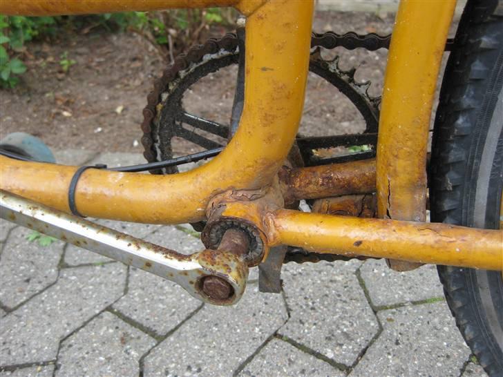 Budcykel billede 5