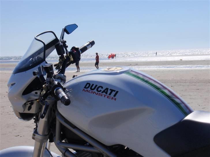 Ducati Monster 1000 billede 6