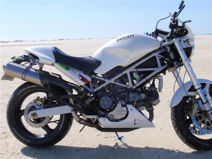 Ducati Monster 1000 billede 3