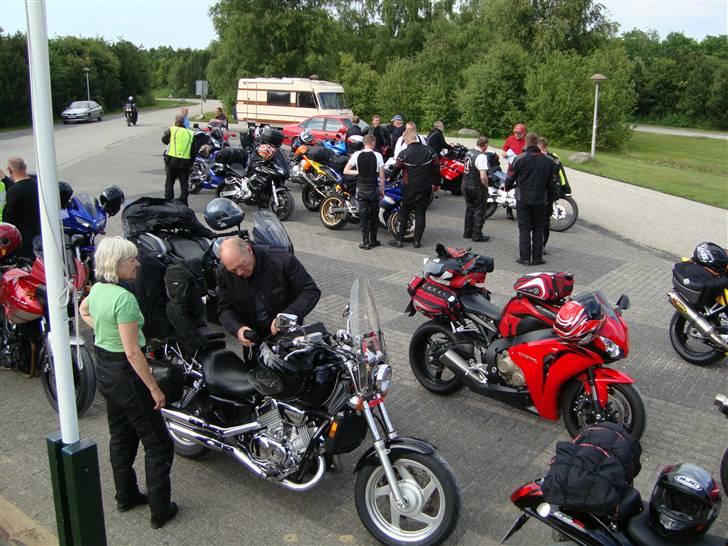 MotoGP TT Assen - Lige ankommet til campingpladen "Witten Zomer" billede 3