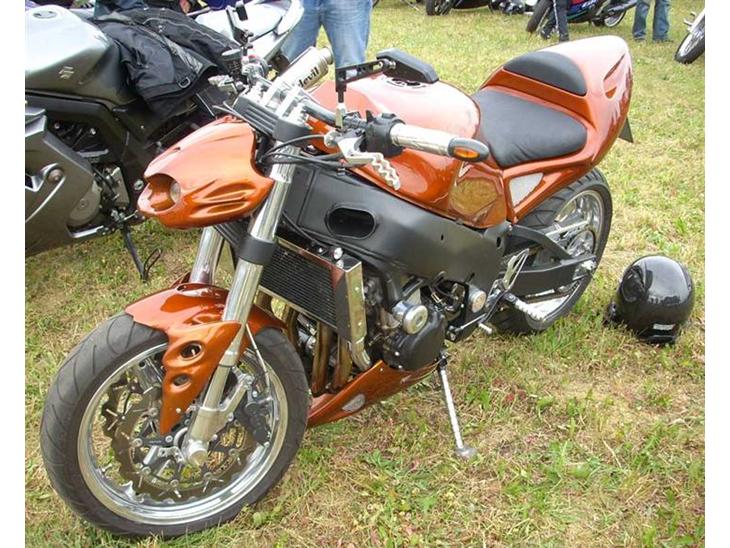 Søby 25/6-09 billede 26