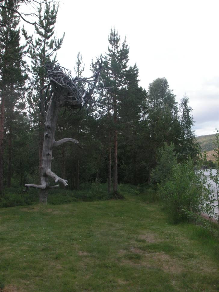 Solo tur Nordkap tur / retur 6 dage billede 7