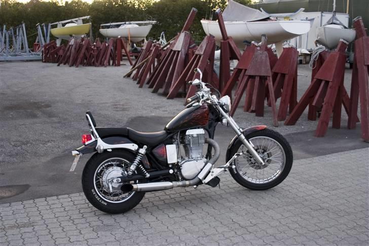 LS650 - Pimpet Original Savage
- I Like 8) billede 193