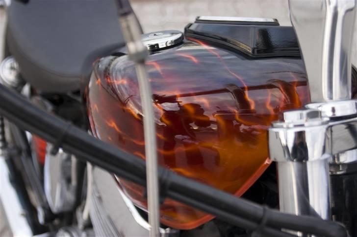 LS650 billede 208