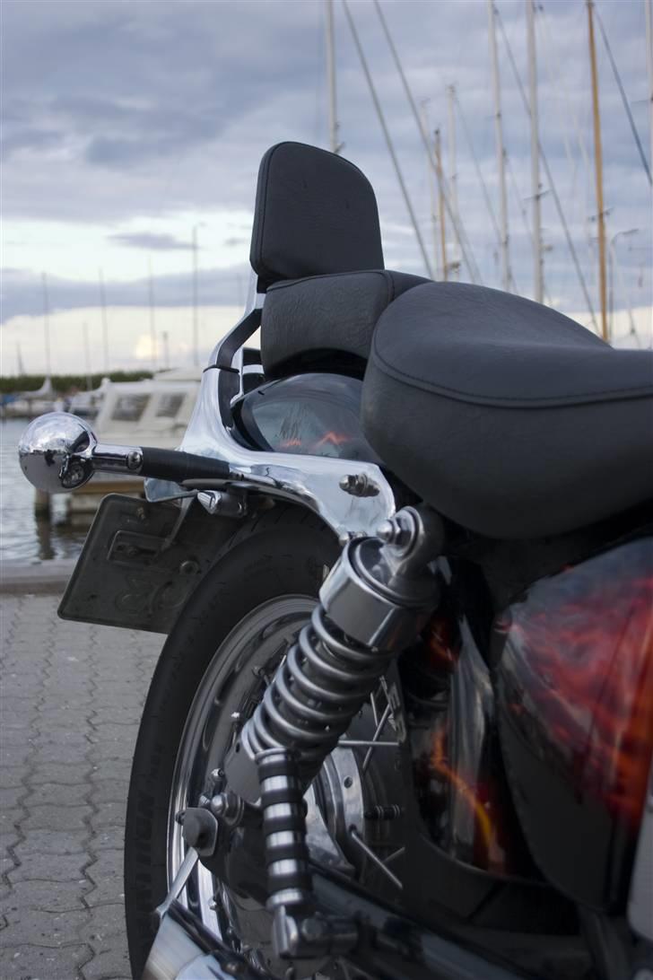 LS650 billede 215
