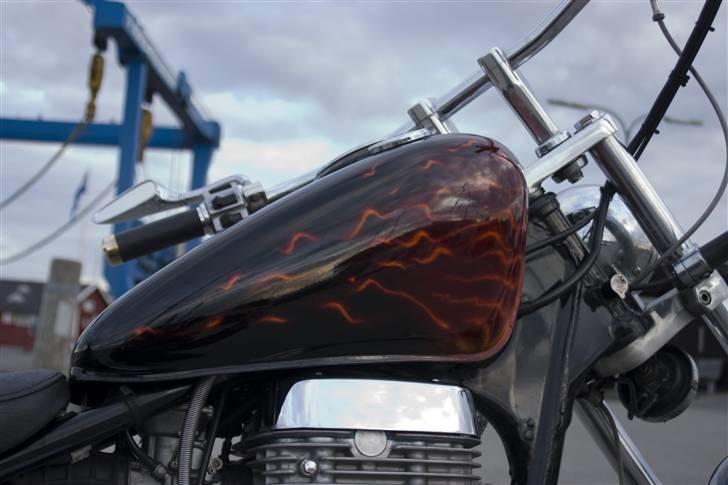 LS650 billede 217