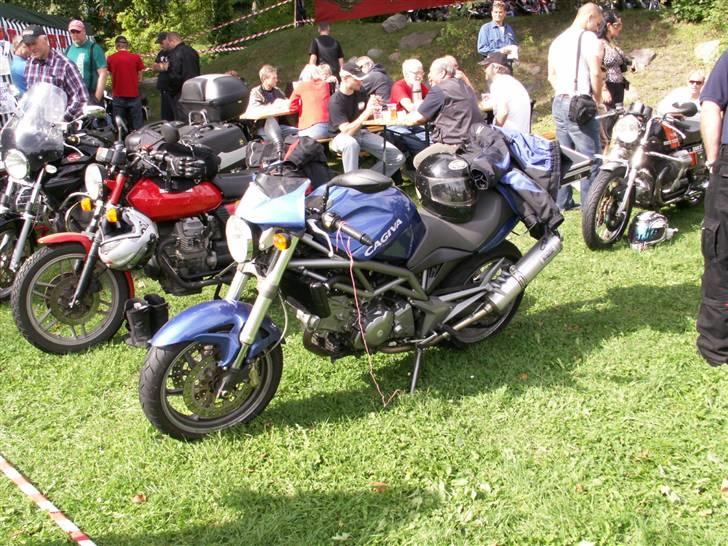 Bella Italia Nyborg 2009 billede 2