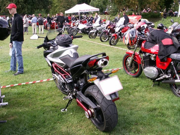 Bella Italia Nyborg 2009 billede 3