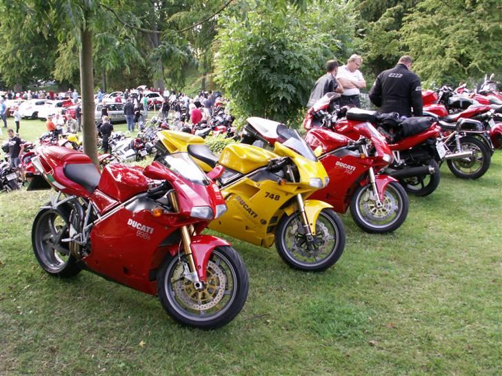 Bella Italia Nyborg 2009 billede 7