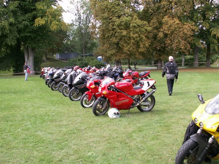 Bella Italia Nyborg 2009 billede 8