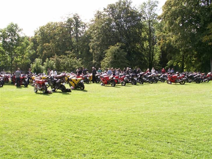 Bella Italia Nyborg 2009 billede 12