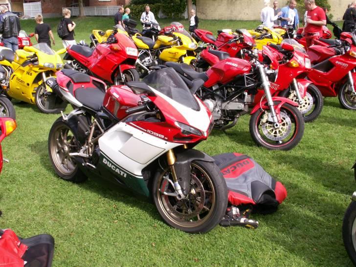Bella Italia Nyborg 2009 billede 1