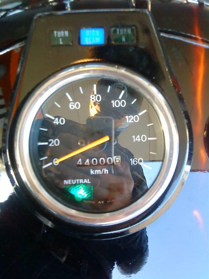 LS650 - Still going Splendid :o) billede 223