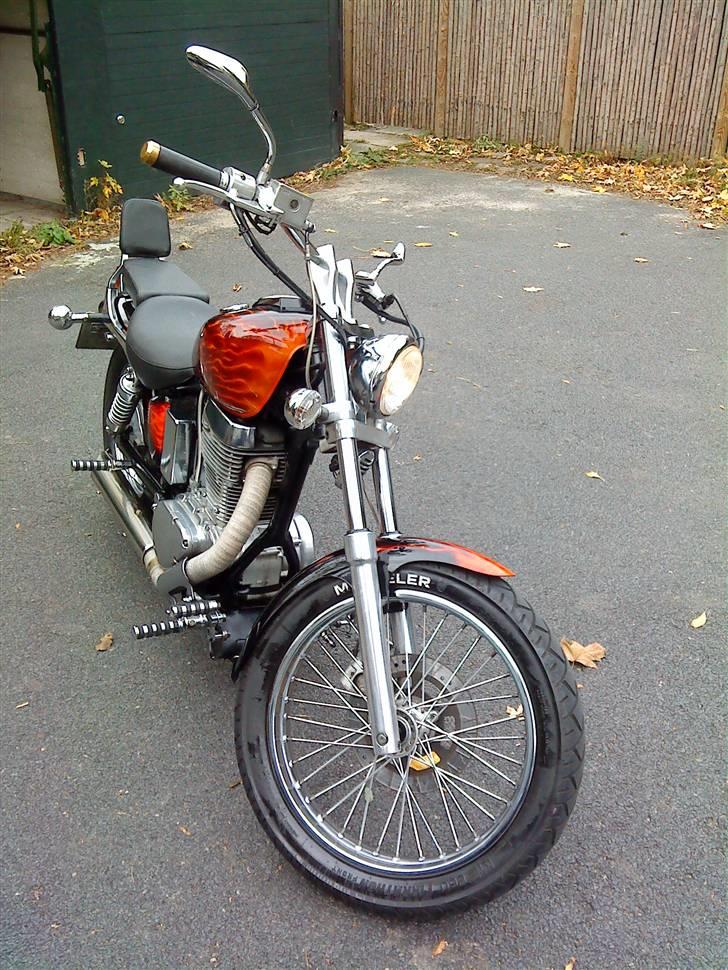 LS650 - 100% Vinterkonserveret billede 227