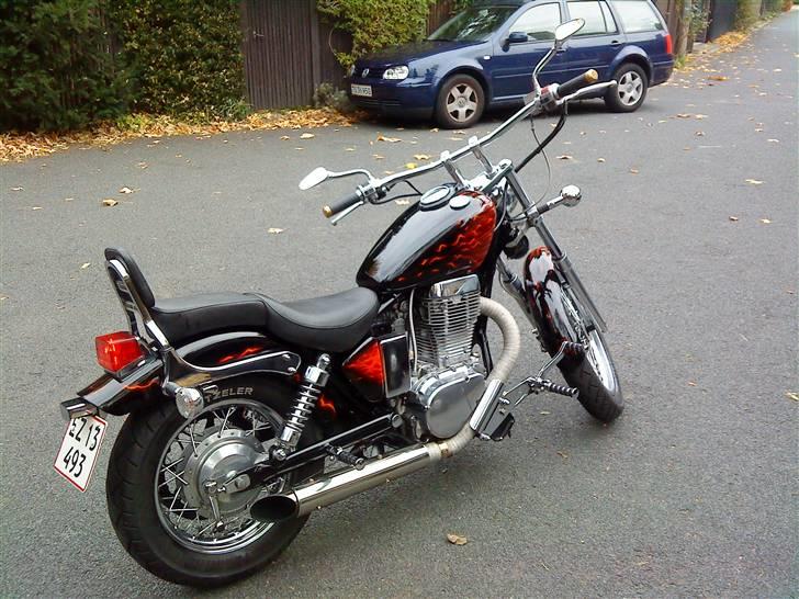LS650 - 100% Vinterkonserveret billede 228