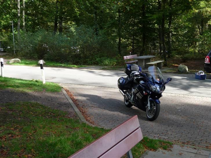 Harzen efterårsferien 2009. - Dag 1. Køre vi hjemmefra kl. 7:30. Vi kører ad E 45 og her er vi landet på en rasteplads lige syd for Hamborg og skal nyde den medbragte i sølvpapir. Godt vejr! billede 1