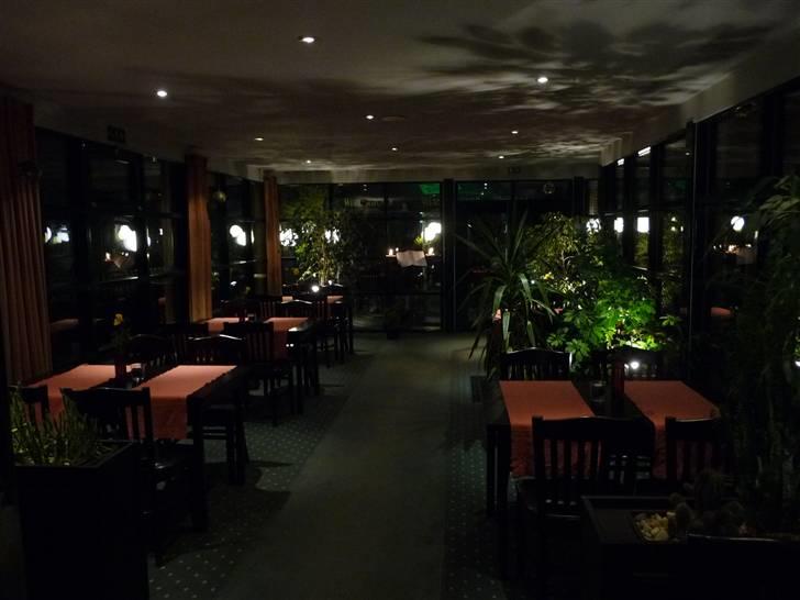 Harzen efterårsferien 2009. - Vores hotel har et par meget hyggelige restauranter at byde på, Thomas lister sig til at tage et billede inden middagsgæsterne fylder havestuen op. billede 13