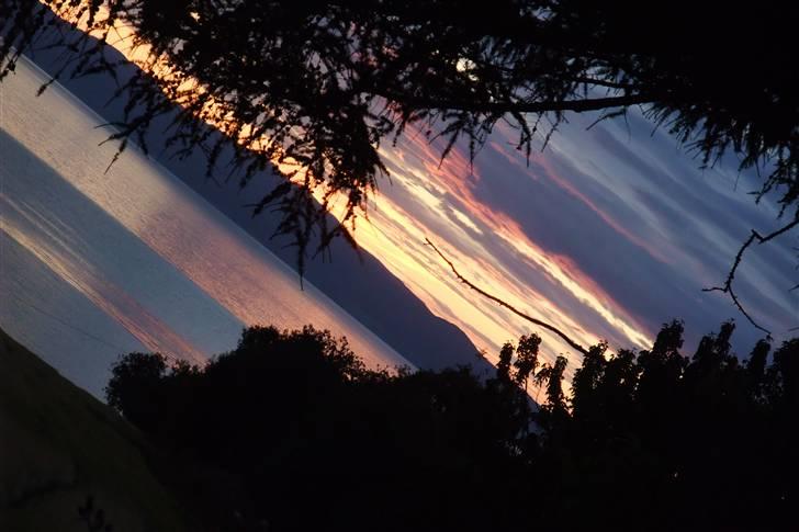 Tur til Polarcirklen, Norge sommeren 2009 billede 1