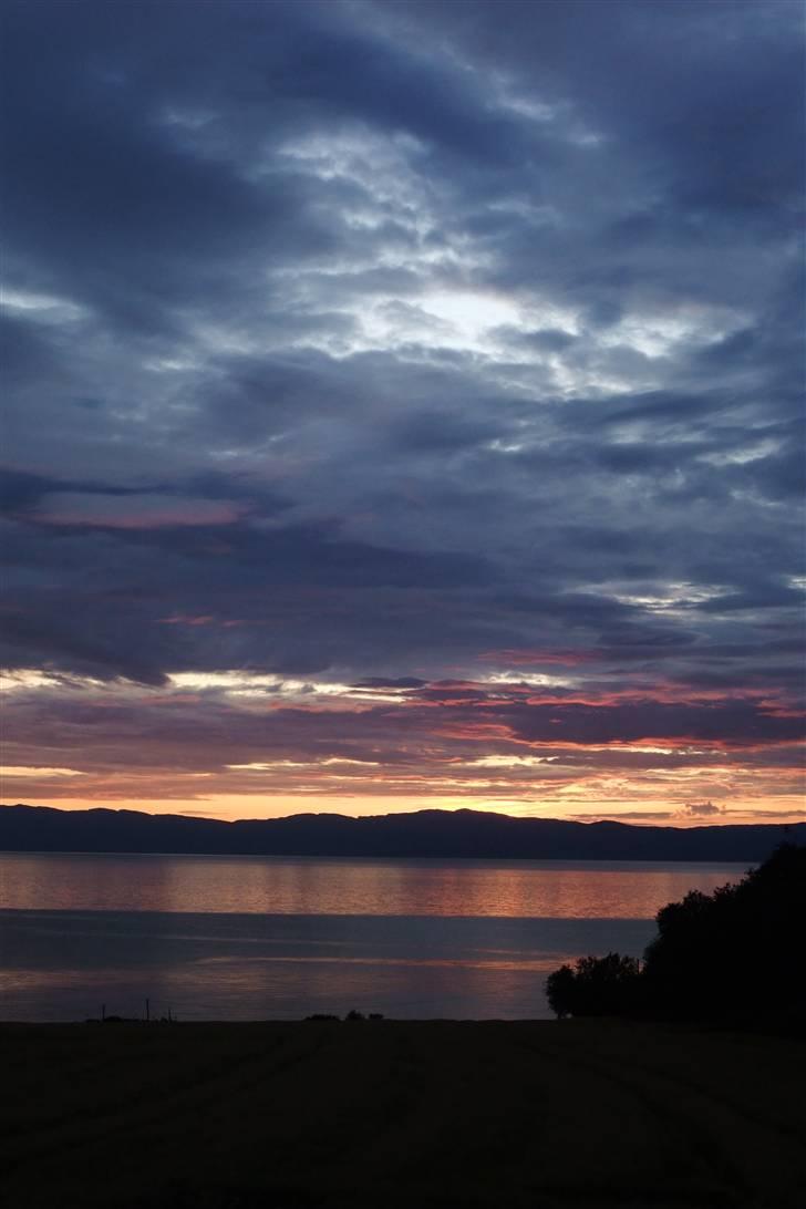 Tur til Polarcirklen, Norge sommeren 2009 billede 3