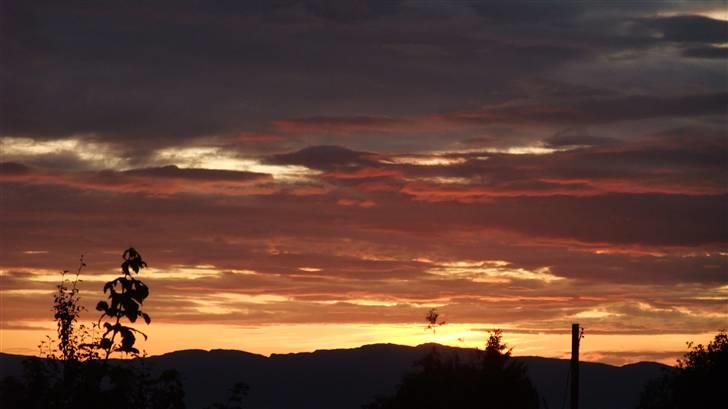 Tur til Polarcirklen, Norge sommeren 2009 billede 5
