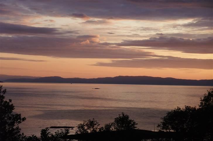 Tur til Polarcirklen, Norge sommeren 2009 billede 8