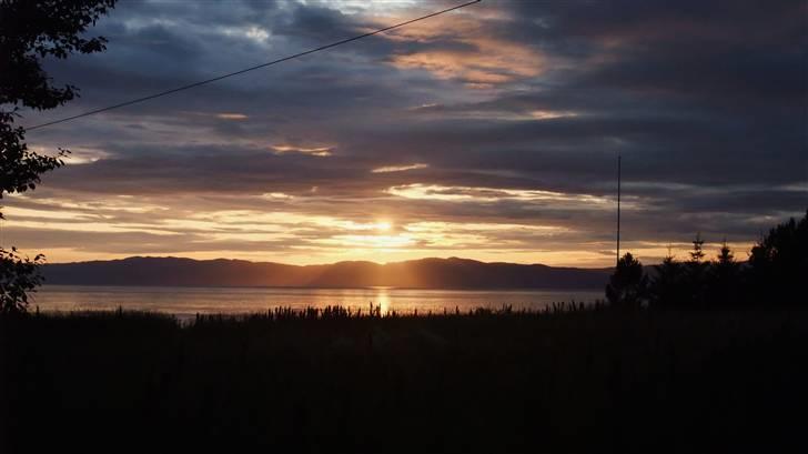 Tur til Polarcirklen, Norge sommeren 2009 billede 10