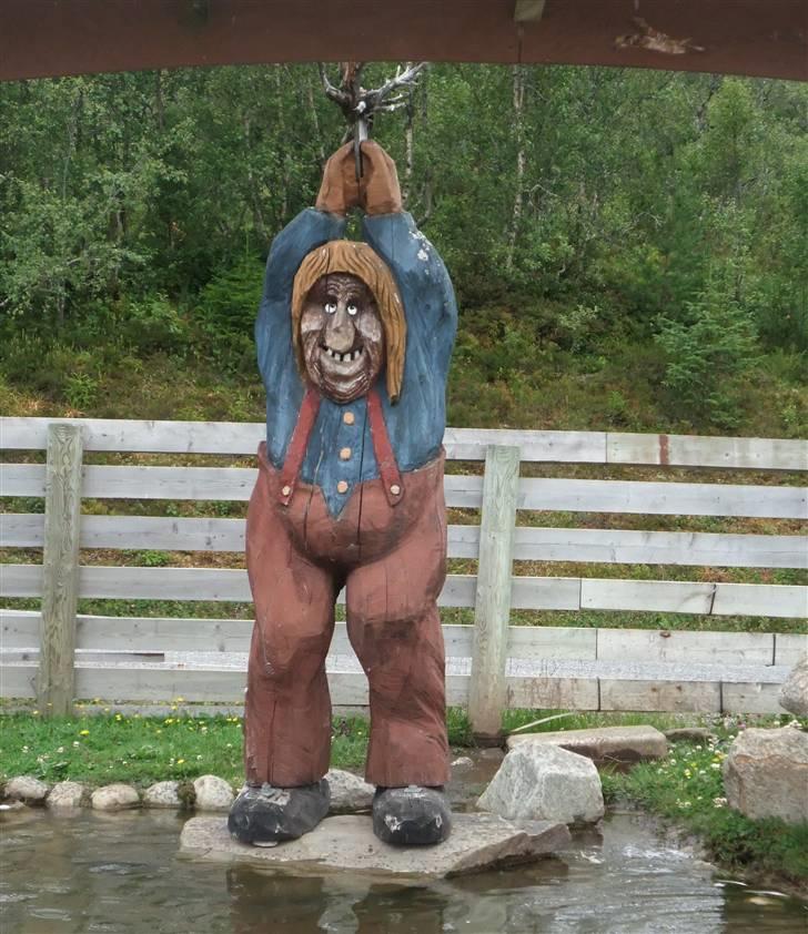 Tur til Polarcirklen, Norge sommeren 2009 - Norsk trold eller fjeldabe.Bestem selv... billede 34