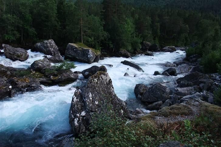 Tur til Polarcirklen, Norge sommeren 2009 billede 61