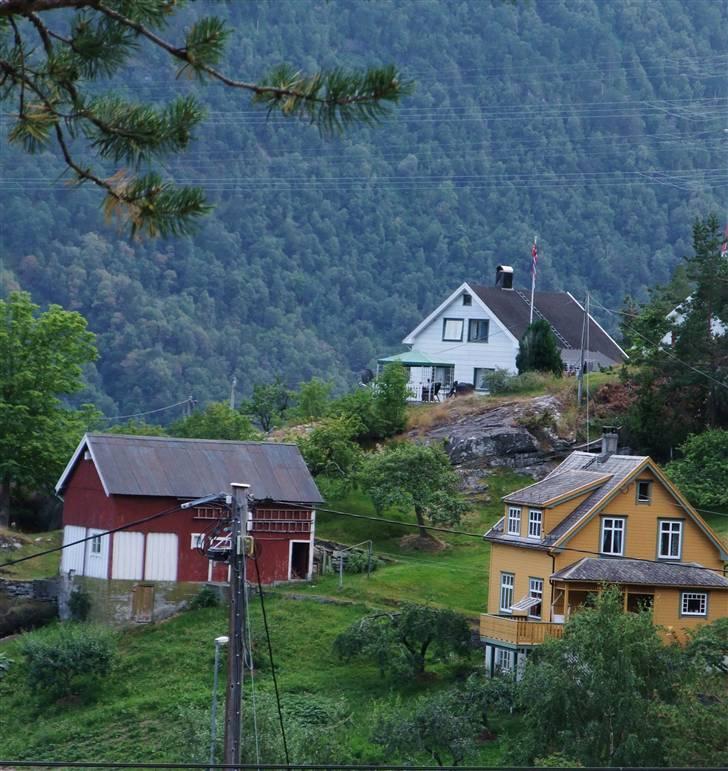 Tur til Polarcirklen, Norge sommeren 2009 billede 63