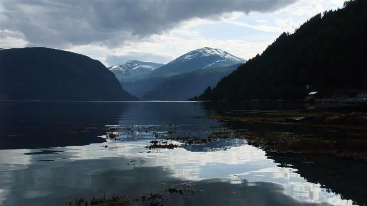 Tur til Polarcirklen, Norge sommeren 2009 billede 66