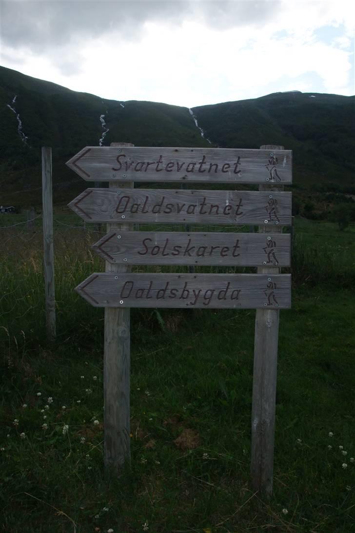 Tur til Polarcirklen, Norge sommeren 2009 billede 70