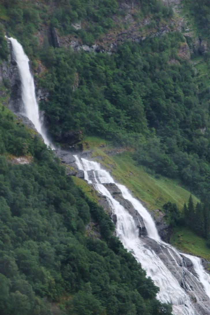 Tur til Polarcirklen, Norge sommeren 2009 - Et billede der var skarpt og med klare farver, til det kom igennem MCG's komprimeringsmaskine fra helvede... billede 90