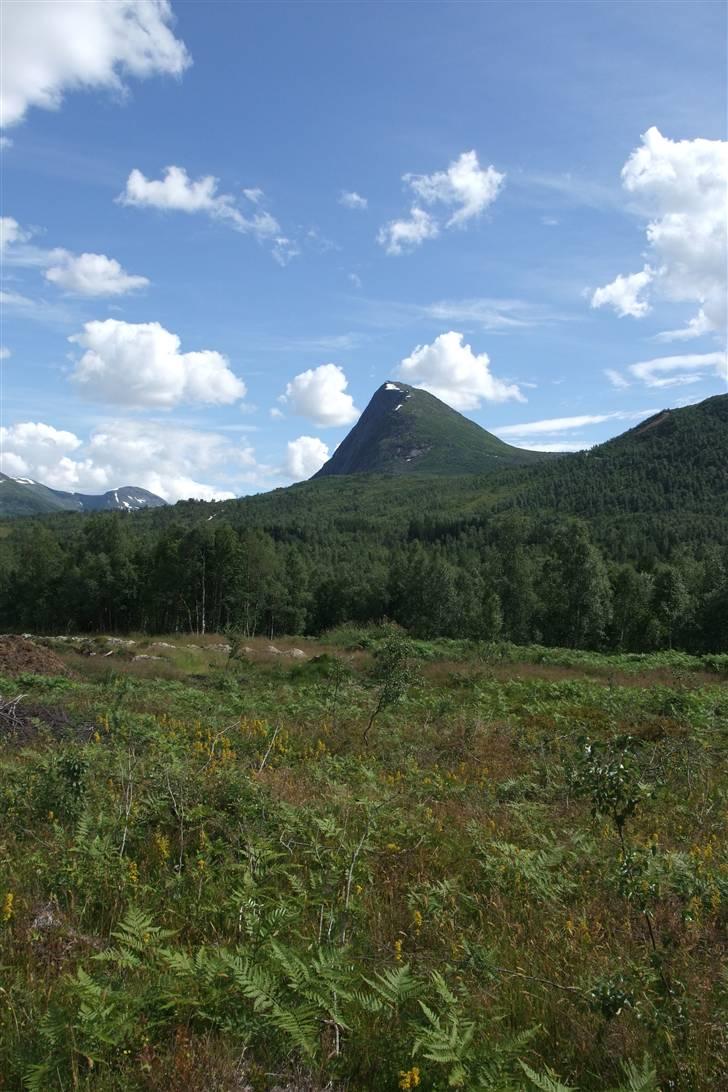 Tur til Polarcirklen, Norge sommeren 2009 billede 113