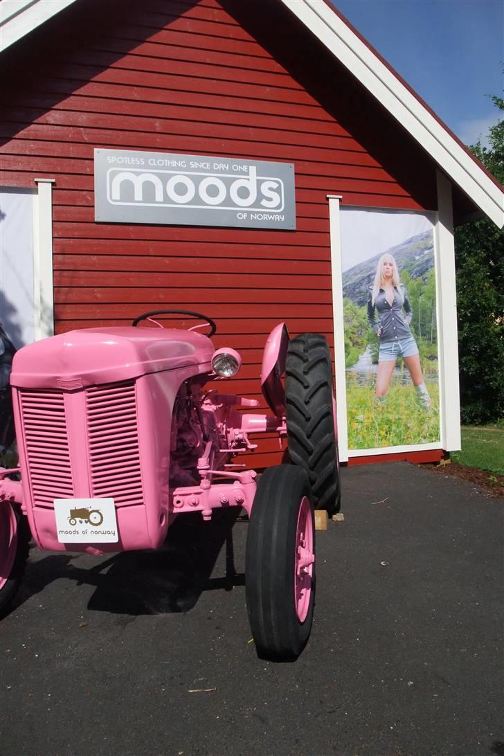 Tur til Polarcirklen, Norge sommeren 2009 - De er meget glade for traktorer i Norge... billede 118