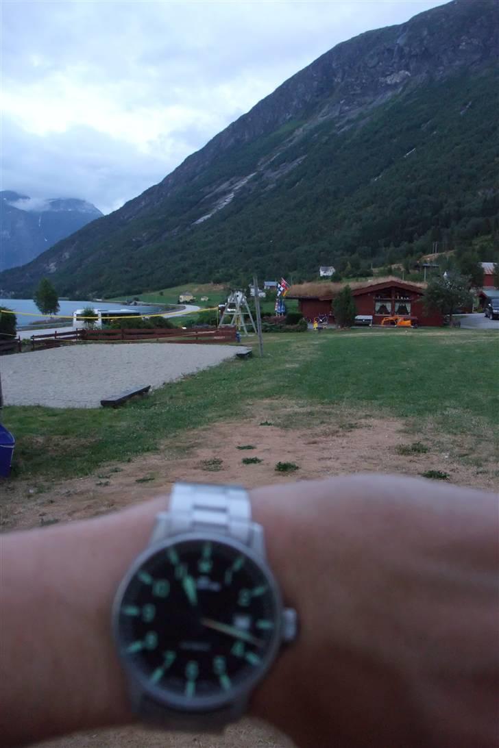 Tur til Polarcirklen, Norge sommeren 2009 - Selv om det er i en bjergdal er der allerede ved at være lyst til sent ud på aftenen.

Midnatssol kommer senere... billede 129