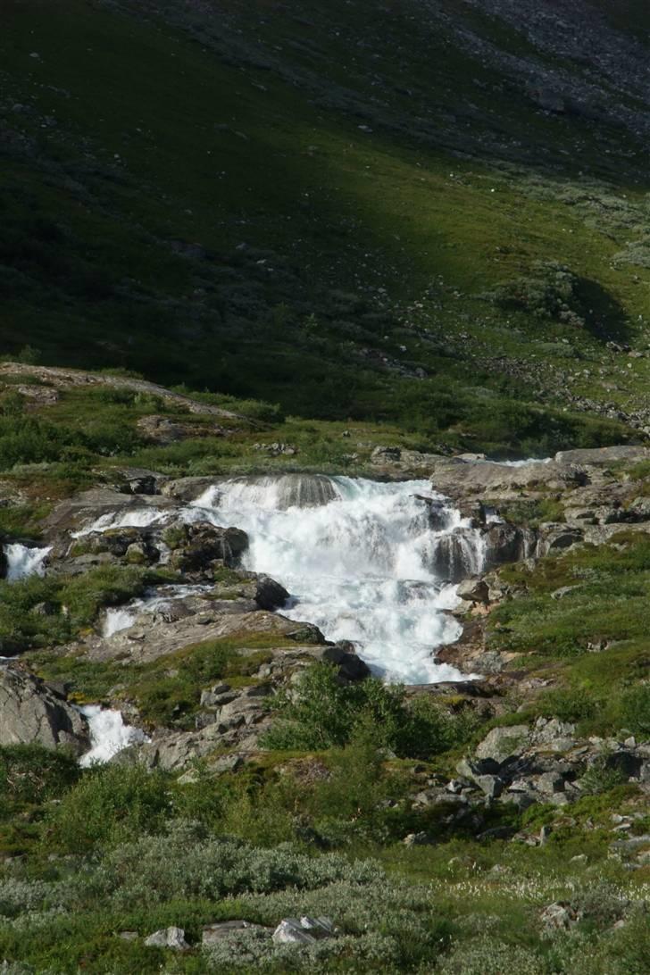 Tur til Polarcirklen, Norge sommeren 2009 billede 138