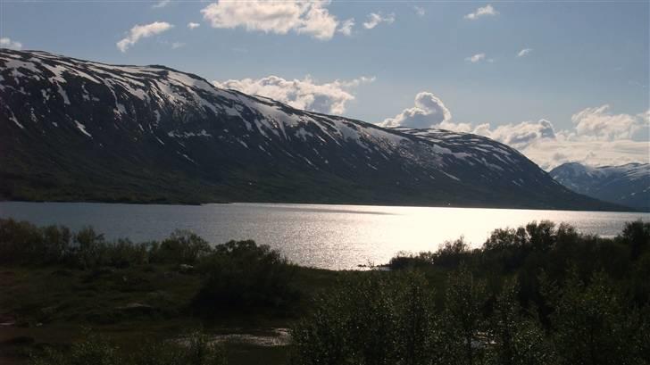 Tur til Polarcirklen, Norge sommeren 2009 billede 145