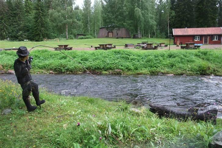 Tur til Polarcirklen, Norge sommeren 2009 del 2 billede 9