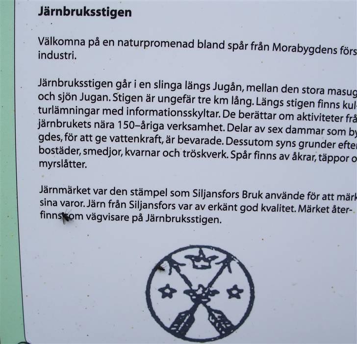 Tur til Polarcirklen, Norge sommeren 2009 del 2 billede 14