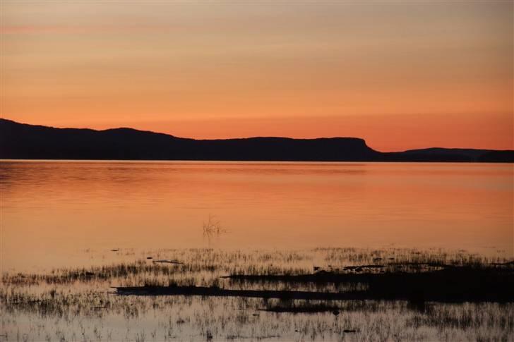 Tur til Polarcirklen, Norge sommeren 2009 del 2 billede 20