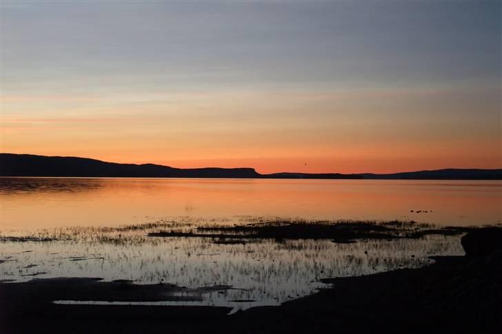 Tur til Polarcirklen, Norge sommeren 2009 del 2 billede 21