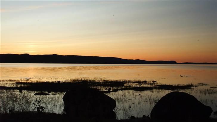 Tur til Polarcirklen, Norge sommeren 2009 del 2 billede 25